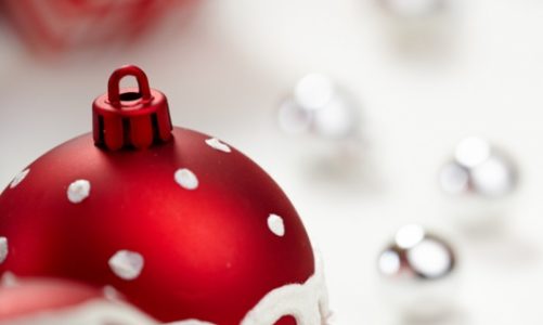 Udanych świątecznych zdjęć życzy Fotolia!