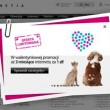 3 miesiące internetu za 1 zł na Walentynki od Netii