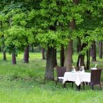 9 powodów, dla których warto zorganizować wesele w hotelu