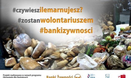 Gwiazdy zaangażowały się w kampanię Banków Żywności