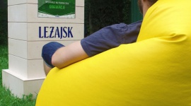 Leżajsk stawia pierwszy Wolnomat w Polsce