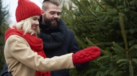 Nowy Rynek rozdaje choinki za zakupy Styl życia, LIFESTYLE - Choinki za paragon, świąteczne kolędowanie z ?Angie? i jeleniogórską młodzieżą, a także porady modowo-urodowe, zabawy i konkursy z nagrodami. 17 i 18 grudnia Nowy Rynek zaprasza na bożonarodzeniowe atrakcje.