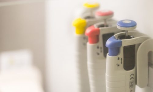 Miłość zapisana w genach