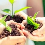 Znajdź zieloną planetę ? bezpłatne prelekcje i warsztaty