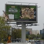 Marka Jacob?s Creek ruszyła z komunikacją eventu: Wielki Piknik Australijski