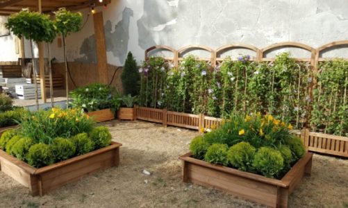 Odetchnij Zielenią na Otwartej Ząbkowskiej!