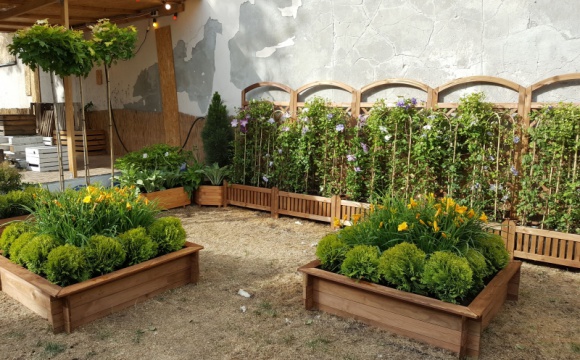 Odetchnij Zielenią na Otwartej Ząbkowskiej! Styl życia, LIFESTYLE - W wakacyjny weekend 1-2 lipca 2017 r. po raz trzeci wystartuje letnia odsłona festiwalu OTWARTA ZĄBKOWSKA.