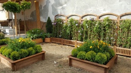 Odetchnij Zielenią na Otwartej Ząbkowskiej! Styl życia, LIFESTYLE - W wakacyjny weekend 1-2 lipca 2017 r. po raz trzeci wystartuje letnia odsłona festiwalu OTWARTA ZĄBKOWSKA.