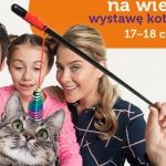 Kocie piękności w Europie Centralnej