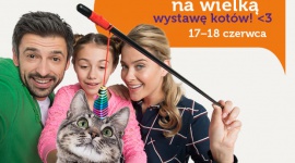 Kocie piękności w Europie Centralnej