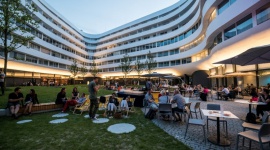 Otwarcie zielonego patio w centrum Wrocławia