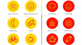 Co sprawia, że lepiej i bezpieczniej prowadzimy auto? Psychologia, LIFESTYLE - ?Shell Drives You? to 3516 samochodowych podróży, 309 kierowców z Polski, Czech, Bułgarii, Słowacji oraz Węgier, a także innowacyjna opaska 37 Degree odczytująca emocje, które towarzyszą nam podczas prowadzenia auta.