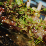 Restauracja Merliniego w gronie najlepszych
