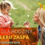 Dzień dla Rodziny w Galerii Zaspa