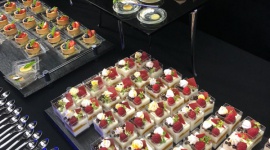 Deli Catering ponownie z Plejadą