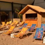 Owoce morza na plaży w centrum Wrocławia