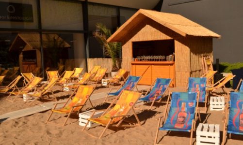 Owoce morza na plaży w centrum Wrocławia