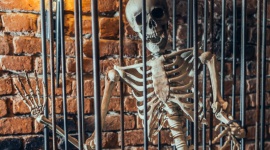 5 pomysłów na spędzenie Halloween Styl życia, LIFESTYLE - Nawet jeśli Halloween nie jest typowo polskim zwyczajem, nic nie stoi na przeszkodzie, by podejść do niego z przymrużeniem oka i wykorzystać do zrobienia czegoś ciekawego. Przedstawiamy kilka niebanalnych propozycji.