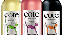 Wino przyjazne weganom ? jak wygląda jego produkcja?