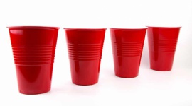 Największy Cup Song w Polsce w Wąbrzeźnie