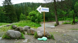 Ochronić przyrodę przed śmieciami – Czyste Tatry ekoMałopolska 2019