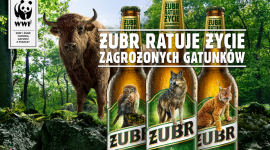 Żubr znika z etykiet? na rzecz zagrożonych gatunków Styl życia, LIFESTYLE - Żubr ? najpopularniejsze piwo w Polsce, a zarazem symbol Podlasia, wystartował z wyjątkową akcją, której celem jest ochrona zagrożonych gatunków zwierząt. Aby uzmysłowić skalę zagrożenia, Żubr zniknie z puszek i butelek piwa, ustępując miejsca wilkowi, rysiowi i sóweczce.