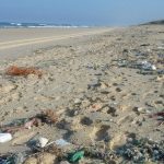 Wakacje w zgodzie z naturą. Nie zmieniaj kurortów w śmietniska
