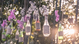 5 sposobów na wykorzystanie butelki po winie ? rady od PANUL Styl życia, LIFESTYLE - Otwierasz wino, wieczór mija i pozostaje po nim tylko pusta butelka. Co z nią zrobić? Jak można dać jej drugie życie? Poznaj 5 sposobów marki PANUL, które mogą zainspirować Cię do działania w duchu less waste.