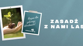 Zasadź las z Wrocław Fashion Outlet