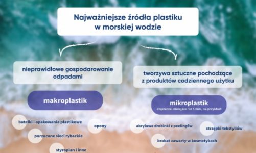 Waterdrop i Plastic Bank w służbie oceanom